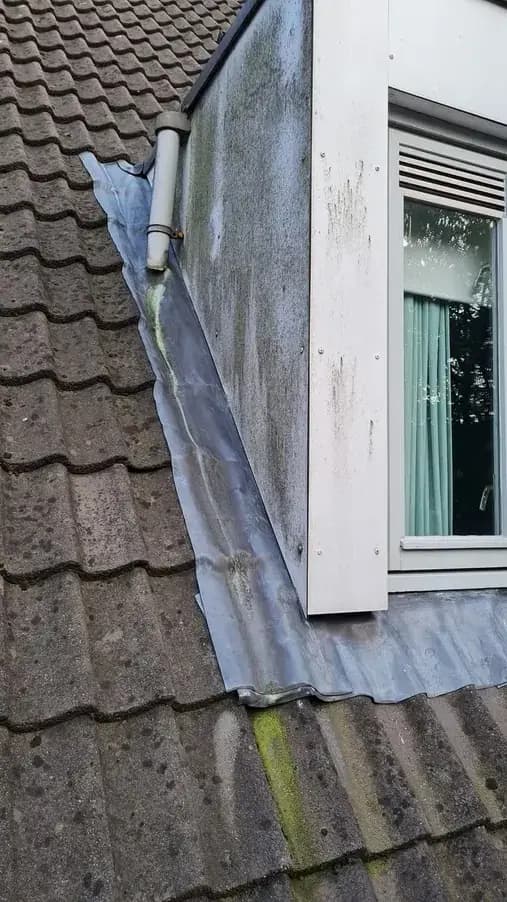 Witte dakkapel met groene aanslag voor de softwash behandeling